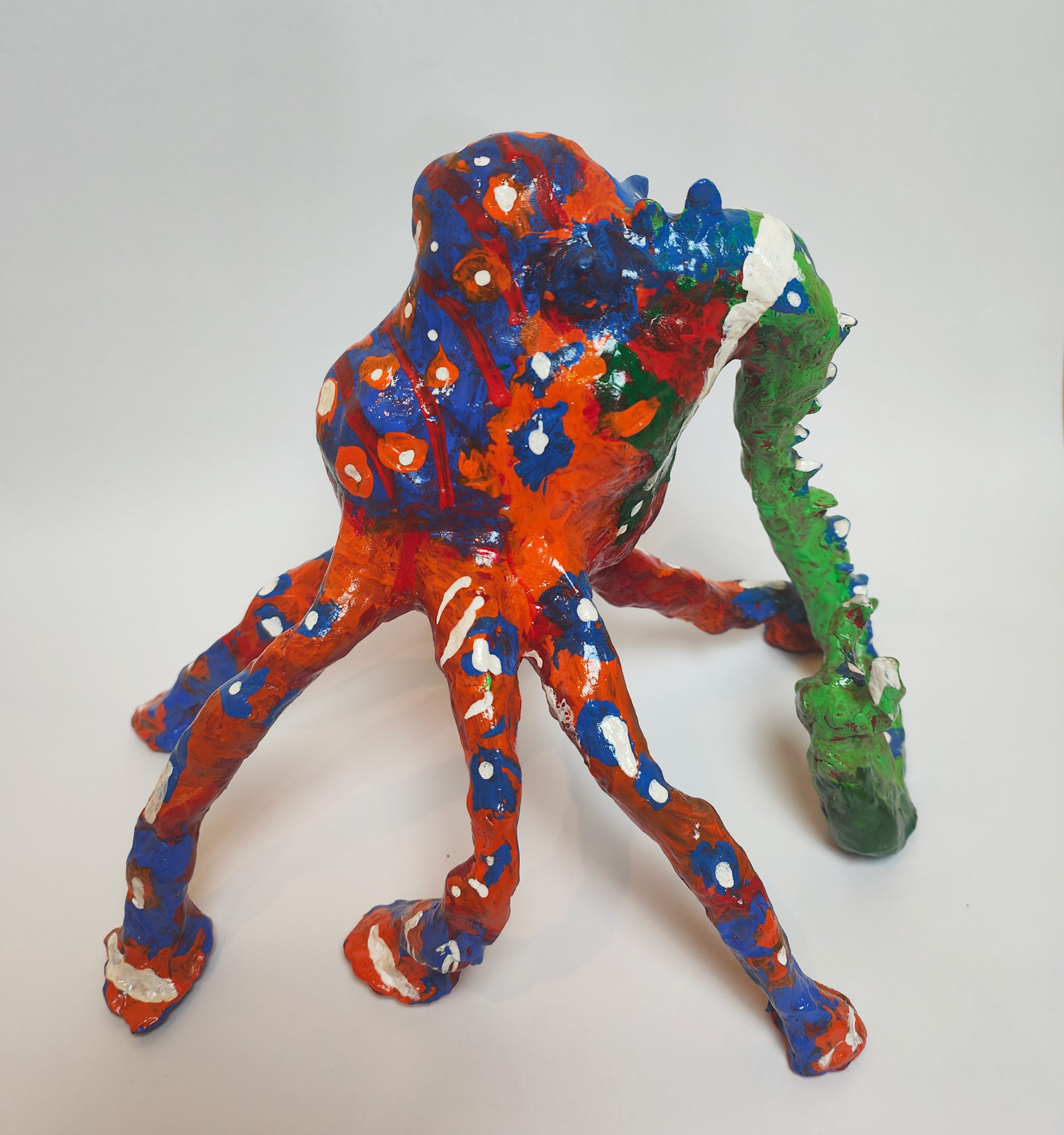Elephant octopus